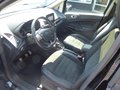 Daumennagel 7 - Ford EcoSport ST-Line