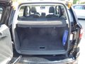 Daumennagel 9 - Ford EcoSport ST-Line