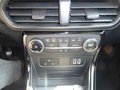Daumennagel 19 - Ford EcoSport ST-Line