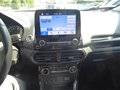 Daumennagel 18 - Ford EcoSport ST-Line