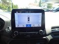 Daumennagel 23 - Ford EcoSport ST-Line