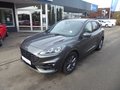 Daumennagel 1 - Ford Kuga ST-Line X