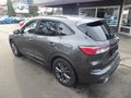 Daumennagel 5 - Ford Kuga ST-Line X