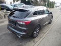 Daumennagel 4 - Ford Kuga ST-Line X