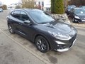 Daumennagel 3 - Ford Kuga ST-Line X