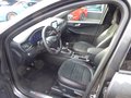 Daumennagel 6 - Ford Kuga ST-Line X