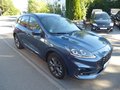 Daumennagel 3 - Ford Kuga Plug-In Hybrid ST-Line X aus 1. Hand