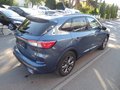 Daumennagel 4 - Ford Kuga Plug-In Hybrid ST-Line X aus 1. Hand