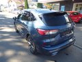 Daumennagel 6 - Ford Kuga Plug-In Hybrid ST-Line X aus 1. Hand