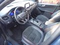 Daumennagel 7 - Ford Kuga Plug-In Hybrid ST-Line X aus 1. Hand