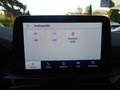 Daumennagel 19 - Ford Kuga Plug-In Hybrid ST-Line X aus 1. Hand