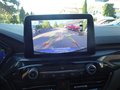 Daumennagel 21 - Ford Kuga Plug-In Hybrid ST-Line X aus 1. Hand