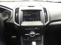 Daumennagel 17 - Ford Edge Sport 4x4 8-Fach bereift