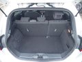Daumennagel 10 - Ford Fiesta ST-Line