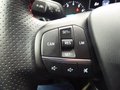 Daumennagel 13 - Ford Fiesta ST-Line