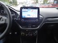 Daumennagel 16 - Ford Fiesta ST-Line