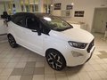 Daumennagel 2 - Ford EcoSport ST-Line