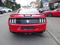 Daumennagel 5 - Ford Mustang GT