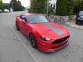 Daumennagel 3 - Ford Mustang GT