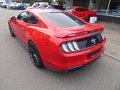 Daumennagel 6 - Ford Mustang GT