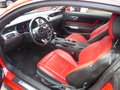 Daumennagel 7 - Ford Mustang GT