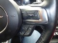 Daumennagel 15 - Ford Mustang GT