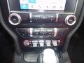Daumennagel 17 - Ford Mustang GT