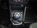 Daumennagel 15 - Ford EcoSport Titanium