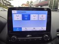 Daumennagel 16 - Ford EcoSport Titanium