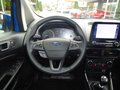 Daumennagel 12 - Ford EcoSport Titanium