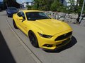 Daumennagel 3 - Ford Mustang GT Fastback