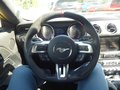 Daumennagel 12 - Ford Mustang GT Fastback