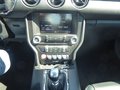Daumennagel 17 - Ford Mustang GT Fastback