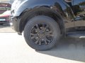 Daumennagel 7 - Ford Ranger Wildtrak Doppelkabine 4x4 Wildtrack