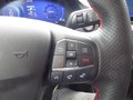 Daumennagel 14 - Ford Fiesta ST X aus erster Hand