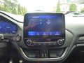 Daumennagel 17 - Ford Fiesta ST X aus erster Hand