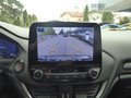 Daumennagel 18 - Ford Fiesta ST X aus erster Hand