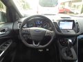 Daumennagel 7 - Ford Kuga ST-Line