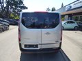 Daumennagel 5 - Ford Transit Custom Trail aus 1. Hand