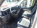Daumennagel 6 - Ford Transit Custom Trail aus 1. Hand