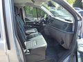 Daumennagel 11 - Ford Transit Custom Trail aus 1. Hand