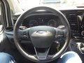 Daumennagel 14 - Ford Transit Custom Trail aus 1. Hand