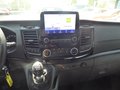 Daumennagel 18 - Ford Transit Custom Trail aus 1. Hand
