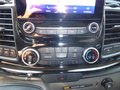 Daumennagel 19 - Ford Transit Custom Trail aus 1. Hand