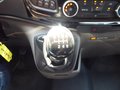 Daumennagel 20 - Ford Transit Custom Trail aus 1. Hand