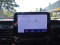 Daumennagel 21 - Ford Transit Custom Trail aus 1. Hand