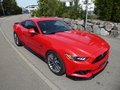 Daumennagel 3 - Ford Mustang GT Fastback