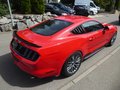 Daumennagel 4 - Ford Mustang GT Fastback