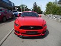 Daumennagel 2 - Ford Mustang GT Fastback