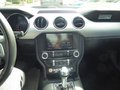 Daumennagel 16 - Ford Mustang GT Fastback